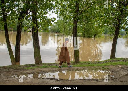 Srinagar, Indien. April 2024 30. Ein Junge spaziert in der Nähe des Flusses Jhelum, als der Wasserstand im Fluss am Dienstagmorgen die „Hochwasserdeklaration“-Markierung in Srinagar überquerte. In Jammu und Kaschmir wird erwartet, dass sich das Wetter ab morgen verbessern wird, wobei die örtliche Wetterabteilung bis zum 5. Mai allgemein bewölkte Bedingungen vorhersagt. Quelle: SOPA Images Limited/Alamy Live News Stockfoto