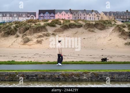 Ein Mann, der mit seinem Hund am Ufer des Kanals in Bude in Cornwall in Großbritannien unterwegs ist. Stockfoto