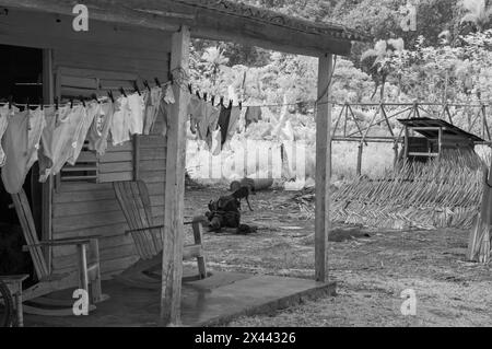 Ein Infrarotbild typischer Bauernhäuser auf den kleinen Plantagen in und um Vinales, Kuba Stockfoto