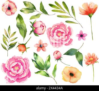 Frühling, Sommer, Blumen, Pfingstrose, Blätter, botanische Illustration, Dekoration, Einladung, Aquarell, Muttertag Stockfoto