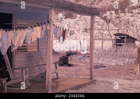 Ein Infrarotbild typischer Bauernhäuser auf den kleinen Plantagen in und um Vinales, Kuba Stockfoto