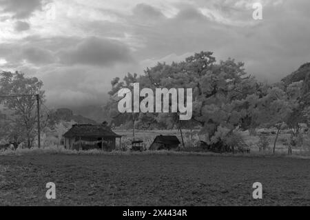 Ein Infrarotbild von Bauernhäusern auf einer kleinen Plantage in der Landschaft des Vinales Valley, Vinales, Kuba Stockfoto