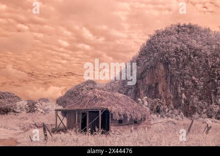 Ein Infrarotbild eines typischen einfachen Bauernhauses auf den kleineren Plantagen in und um Vinales, Kuba Stockfoto