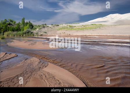 USA, Colorado. Medano Creek im Great Sand Dunes National Park. Stockfoto