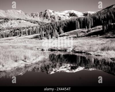 USA, Colorado. Infrarot von Aspenbäumen, die in kleinen Flüssen reflektieren Stockfoto