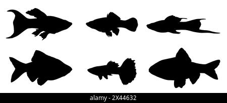 Silhouettenzeichnung mit Aquarienfischen. Illustration mit Guppy, Schwertschwanz, Barb und molly. Stockfoto