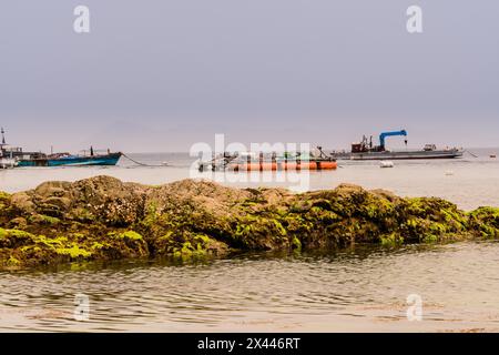 Meereslandschaft eines großen, mit grünen Algen bedeckten Felsens mit drei Fischerbooten im Meer und einem düsteren, grauen Himmel im Hintergrund in Namhae, Südkorea Stockfoto