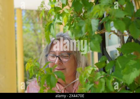 Weißhaarige Frau mit Brille hinter einem Efeu, die lächelnd die Blätter ansieht Stockfoto