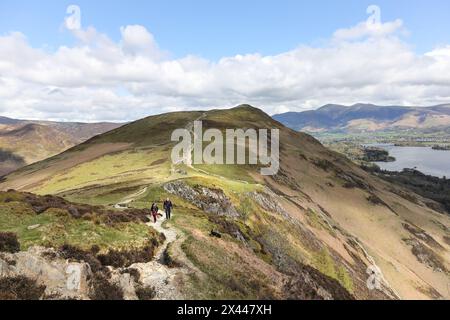 Cat Bells mit Skiddaw Beyond, Blick vom Maiden Moor Path, Lake District, Cumbria, Großbritannien Stockfoto