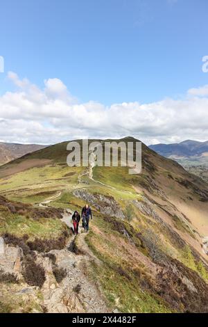 Cat Bells mit Skiddaw Beyond, Blick vom Maiden Moor Path, Lake District, Cumbria, Großbritannien Stockfoto