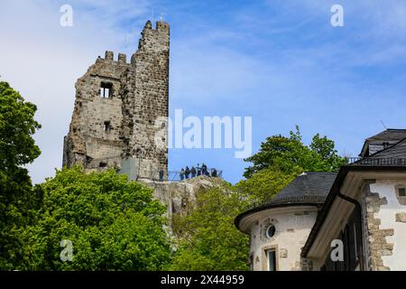 Burgruine am Drachenfels, Berg im Siebengebirge oberhalb des Rheins zwischen Königswinter und Bad Honnef, Nordrhein-Westfalen Stockfoto