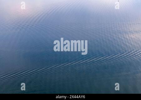 Am frühen Morgen am Bodensee ohne Schiffe und Boote, Wellenstruktur, Luftansicht, Friedrichshafen, Baden-Württemberg, Deutschland Stockfoto