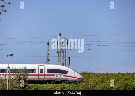 Deutsche Bahn AG InterCityExpress ICE-Strecken, Bahndamm- und Freileitungen, Infrastruktur, Stuttgart, Baden-Württemberg, Deutschland Stockfoto