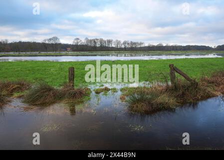 Überflutete Feuchtwiesen im Winter, Naturschutzgebiet Dingdener Heide, Nordrhein-Westfalen, Deutschland Stockfoto