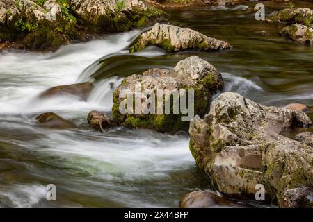 Fließende Gebirgsbäche und Felsbrocken, Great Smoky Mountains National Park, Tennessee Stockfoto