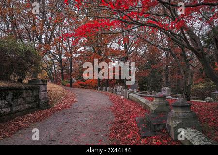 USA, Sleepy Hollow. Sleepy Hollow Cemetery. (PR) Stockfoto