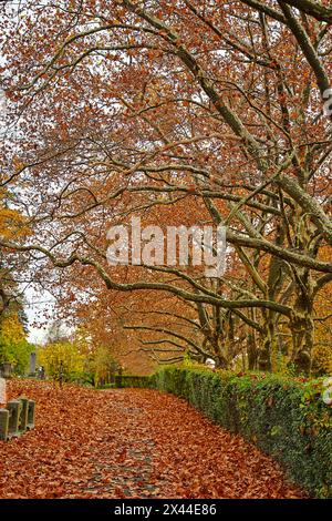 USA, Sleepy Hollow. Sleepy Hollow Cemetery. (PR) Stockfoto