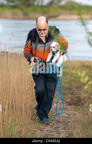 Älterer Mann mit Bolonka Zwetna Hund über Schlamm, Elbe, Elbtalaue bei Bleckede, Niedersachsen Stockfoto