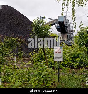 Externe Kohlung am Rhein-Herne-Kanal für das Steinkohlekraftwerk der STEAG, Herne, Ruhrgebiet, Nordrhein-Westfalen, Deutschland Stockfoto