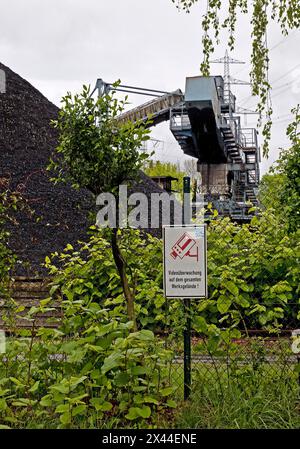 Externe Kohlung am Rhein-Herne-Kanal für das Steinkohlekraftwerk der STEAG, Herne, Ruhrgebiet, Nordrhein-Westfalen, Deutschland Stockfoto