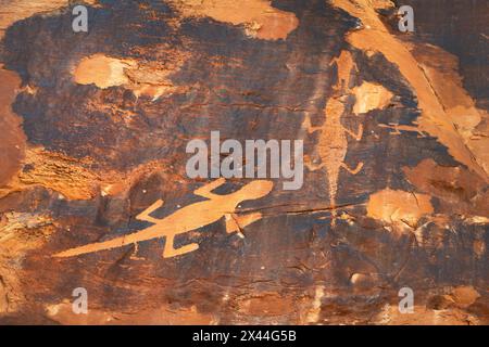 Eidechsenpetroglyphen im Fremont-Stil entlang des Cub Creek, Dinosaur National Monument Stockfoto