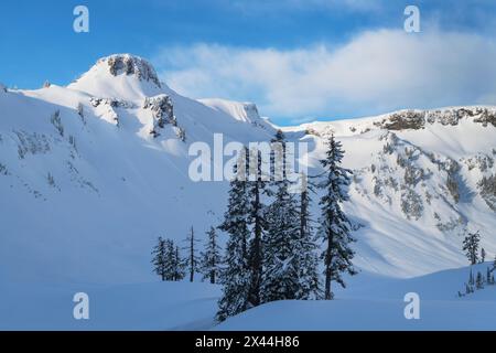 Tafelberg im Winter. Heather Meadows, Mt. Baker-Snoqualmie National Forest, North Cascades, Washington State Stockfoto