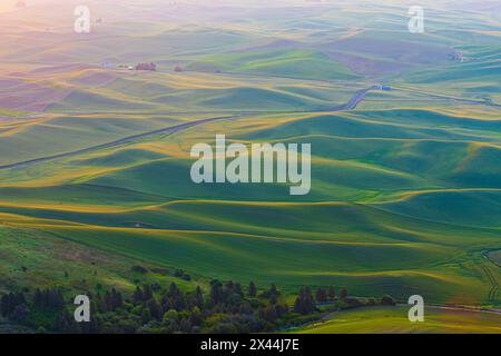 USA, Washington State, Palouse, Colfax. Blick vom Steptoe Butte. Stockfoto