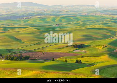 USA, Washington State, Palouse, Colfax. Blick vom Steptoe Butte. Stockfoto