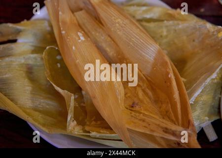 Maispackungen für Tamales, typisch argentinisches Essen, Reste Stockfoto