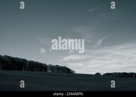 Black and White Landscape, Binfield Heath, Chiltern Hills, Oxfordshire, England, GROSSBRITANNIEN, GB. Stockfoto