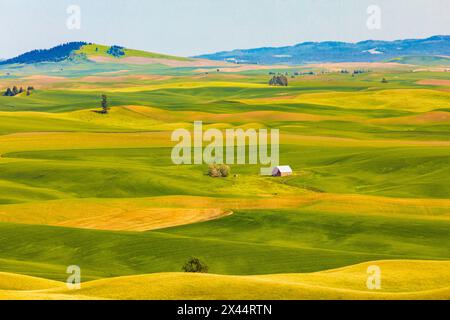 USA, Washington State, Palouse, Colfax. Stockfoto