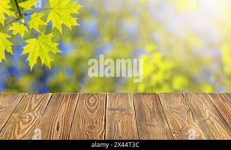 Leer von Holztischplatte auf Unschärfe von frischem grünem abstraktem Hintergrund aus Ahornblättern. Für die Montage von Produktanzeigen oder Design Key Visual Layout Stockfoto