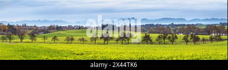 Herbstlandschaft, Panorama, Banner - Blick auf die Umgebung der Stadt Ebersberg vor dem Hintergrund der Alpen, Oberbayern, Deutschland Stockfoto