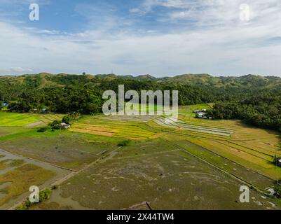 Berge mit Regenwald und Ackerland in Santa Fe, Tablas, Romblon. Philippinen. Stockfoto