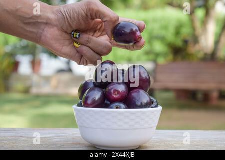 Frische Jamun-Früchte in der Schüssel, bekannt als Java-Pflaume, Jambhul, Jambolan-Pflaume, schwarze Pflaume, Kaala-Jamun Stockfoto