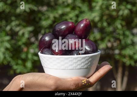 Frische Jamun-Früchte in einer Schüssel zur Hand Stockfoto