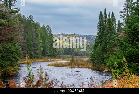 Herbstmorgen entlang Costello Creek im Algonquin Park, Kanada Stockfoto