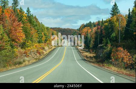 Herbstfarben entlang des Highway 60 im Algonquin Park, Kanada Stockfoto