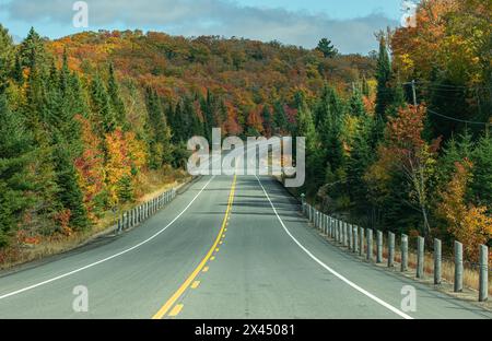 Herbstfarben entlang des Highway 60 im Algonquin Park, Kanada Stockfoto