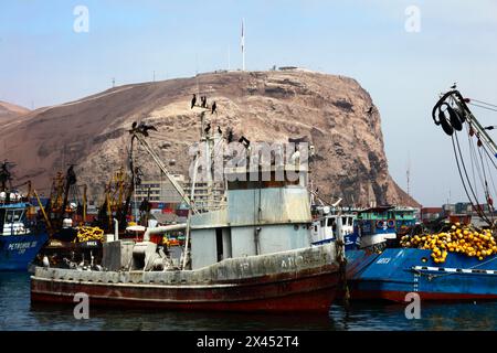 Pelikane und Kormorane auf alten Vogelkot / Guano-bedecktes Fischerboot im Hafen, El Morro Landzunge im Hintergrund, Arica, Chile Stockfoto
