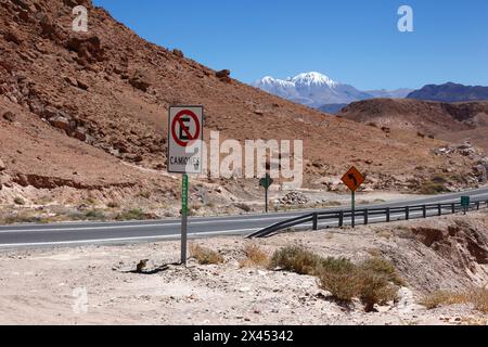 Parken von LKW verboten Schild neben Ruta/Highway 11 in der Nähe von Copaquilla, schneebedeckter Nevados de Putre/Taapaca Vulkan in der Ferne, Chile Stockfoto