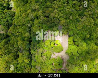 Von oben nach unten auf eine kleine Aussichtsplattform inmitten eines üppigen, grünen Waldes (aokigahara, Japan) Stockfoto