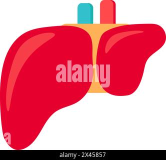 Symbol für gesunde menschliche Leber. Filterorgan, medizinisch gestrichenes Cartoonelement für modernes und Retro-Design. Einfaches Farbvektor-Piktogramm isoliert auf weiß Stock Vektor