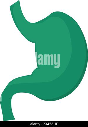 Zur Struktur des menschlichen Magensymbols. Bauchorgane, medizinisch gestreiftes Cartoonelement für modernes und Retro-Design. Einfaches Farbvektorpiktogramm isoliert Stock Vektor