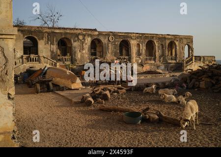 Nicolas Remene/Le Pictorium - Ile de Goree au, Senegal. April 2024. Senegal/Dakar/Goree Island - Blick vom Hinterhof des ehemaligen Gouvernements Goree in Senegal, 23. April 2024. Quelle: LE PICTORIUM/Alamy Live News Stockfoto