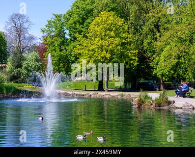 Pearson Park im Avenues Area, in Hull, East Yorkshire, Großbritannien Stockfoto