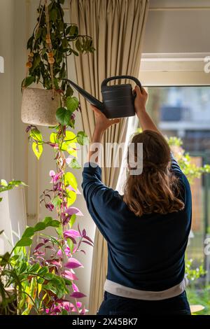 Frau, die hängende Pflanzen bewässert, beleuchtet von warmem Nachmittagssonnenlicht. Pflanzbügel in einem gemütlichen Wohnraum Stockfoto
