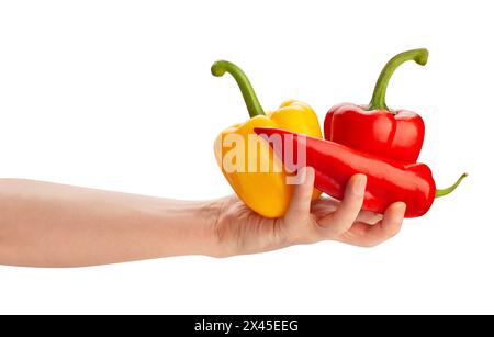 Paprika mischen sich im Handweg isoliert auf weiß Stockfoto