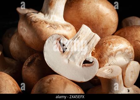 Geschnittener brauner Pilz auf schwarzem Hintergrund Stockfoto