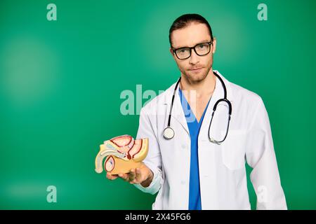 Schöner Arzt im weißen Laborkittel, der ein Körpermodell vor grünem Hintergrund hält. Stockfoto